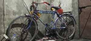 Cycle for Sale