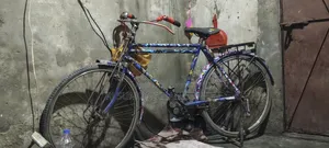 Cycle for Sale