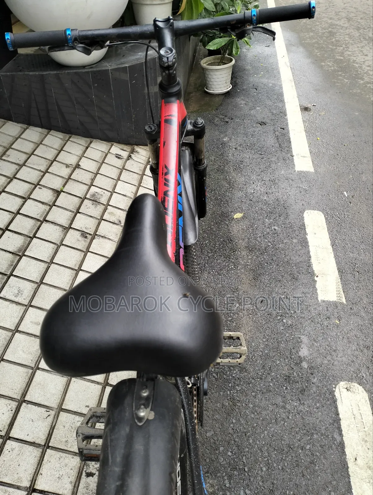 Phoenix Evans 26" 3/7 Speed