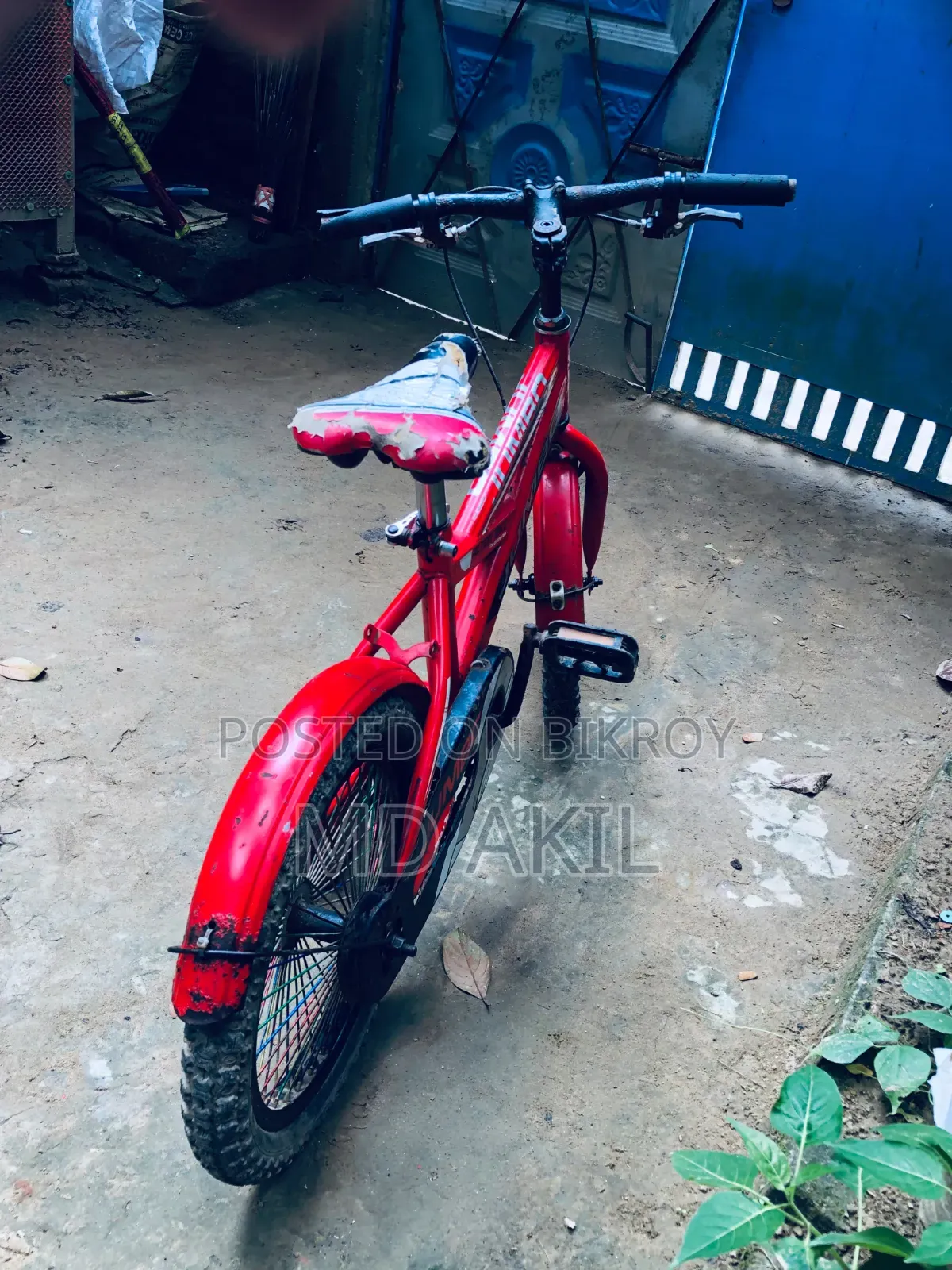 *Jumbo Alton Bike Cycle* Sell