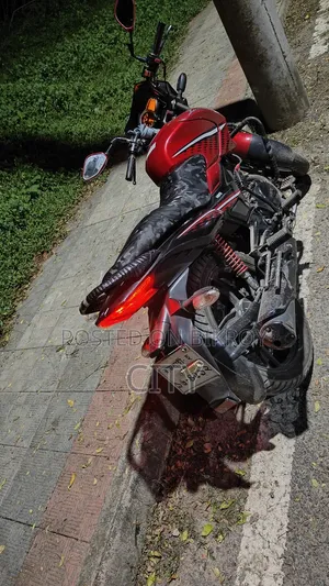 হিরো ইগনিটর ১২৫ টেকনো ২০১৯ রেড