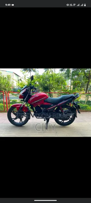 হিরো ইগনিটর ১২৫ টেকনো ২০১৯ রেড