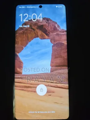 Google Pixel 6 Pro 256 GB Gray