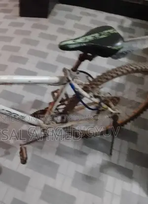 Cycle For Sale