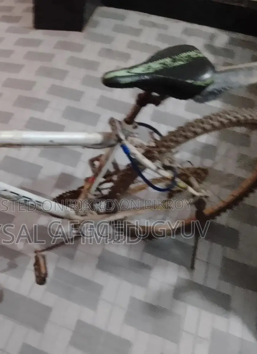 Cycle For Sale
