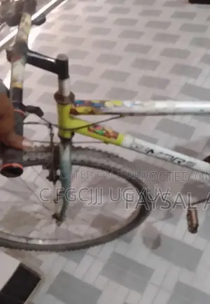 Cycle For Sale