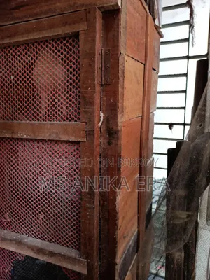 Various Types of Pigeons for Sale