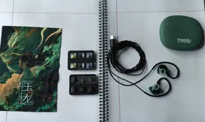 Tangzu Wan'er Sg 2 Jade Dragon Edition (Type- C)