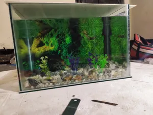 একটি ১৮×১২ অ্যাকুরিয়াম বিক্রি করা হবে।