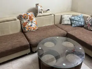 Sofa L Shape