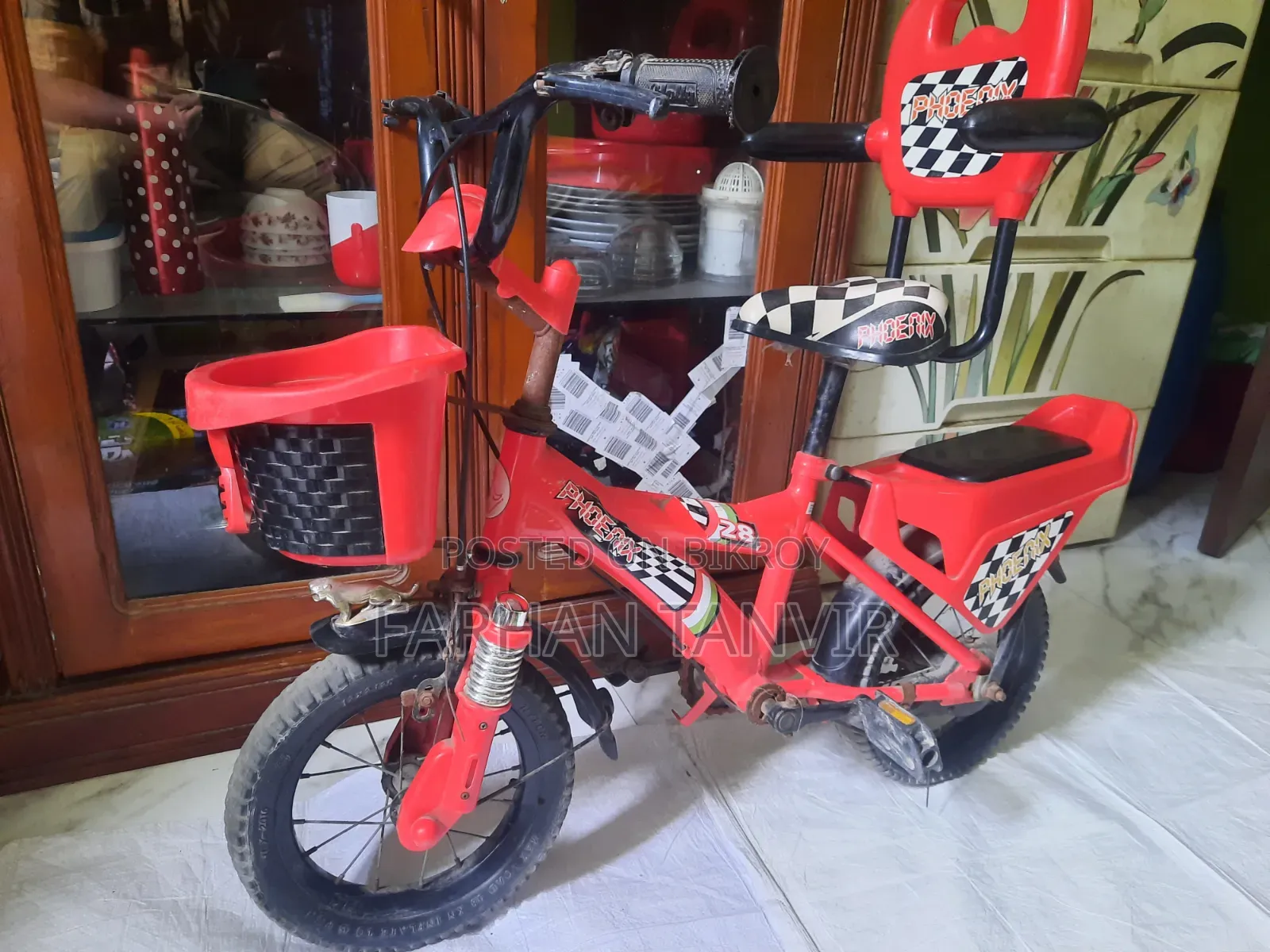 Baby Phoenix Cycle