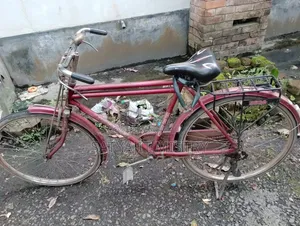 Bicycle for Sale