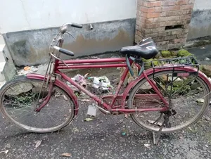 Bicycle for Sale