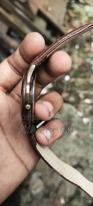 টাইটান ওয়াচ