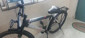 Duranta Knight Cycle (Black Color)