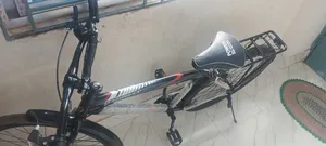 Duranta Knight Cycle (Black Color)
