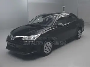 Toyota Axio 2021 Black