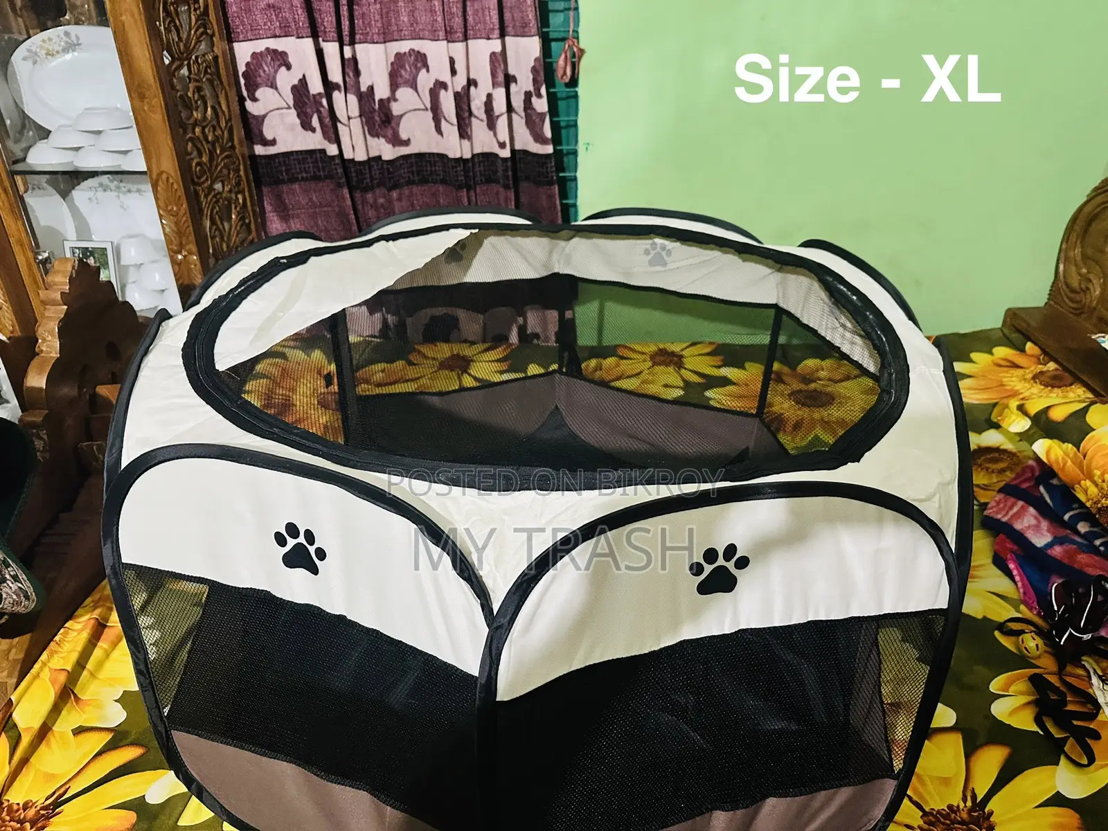 ক্যাট অ্যাক্সেসরিজ কম্বো