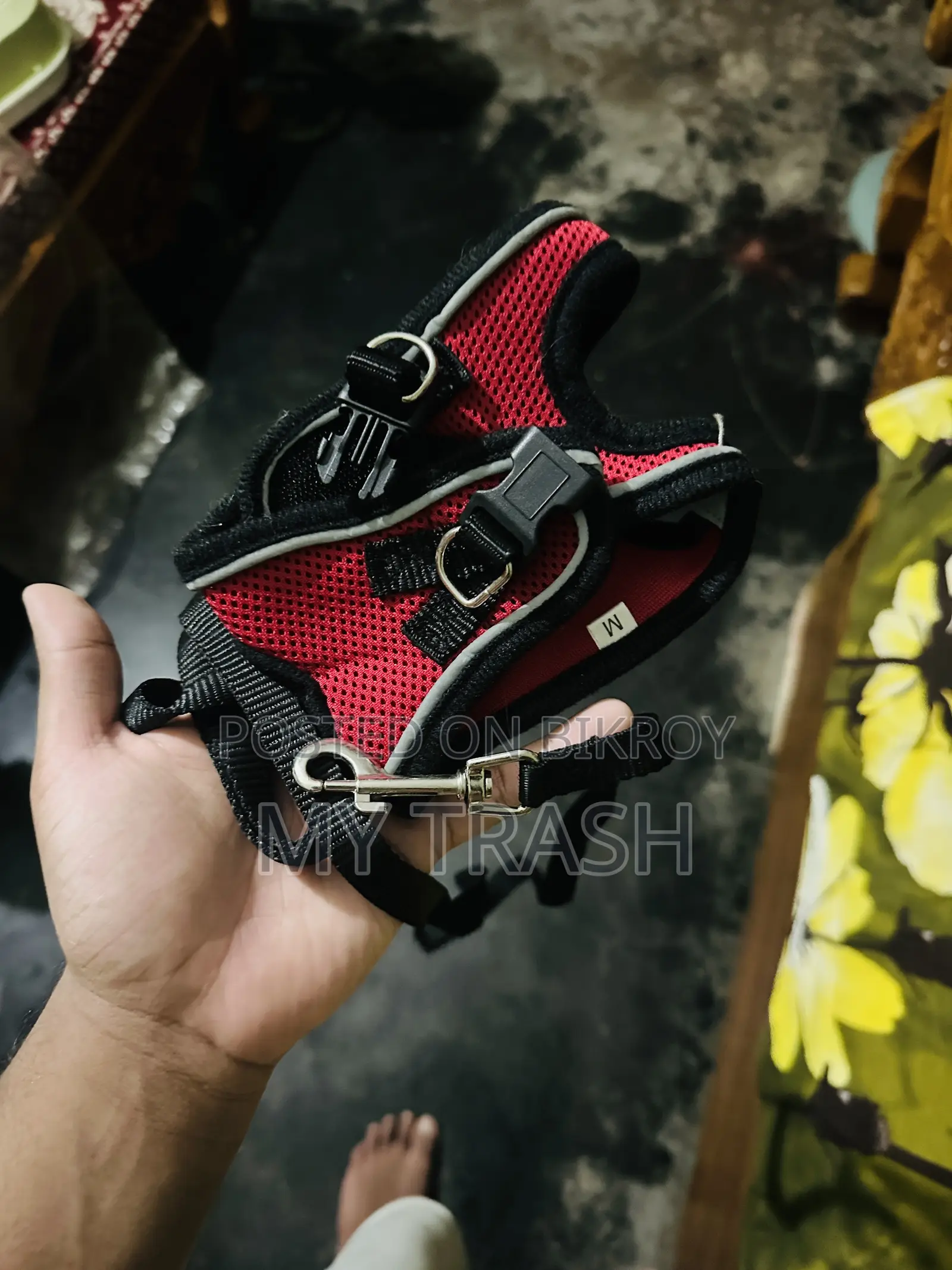 ক্যাট অ্যাক্সেসরিজ কম্বো