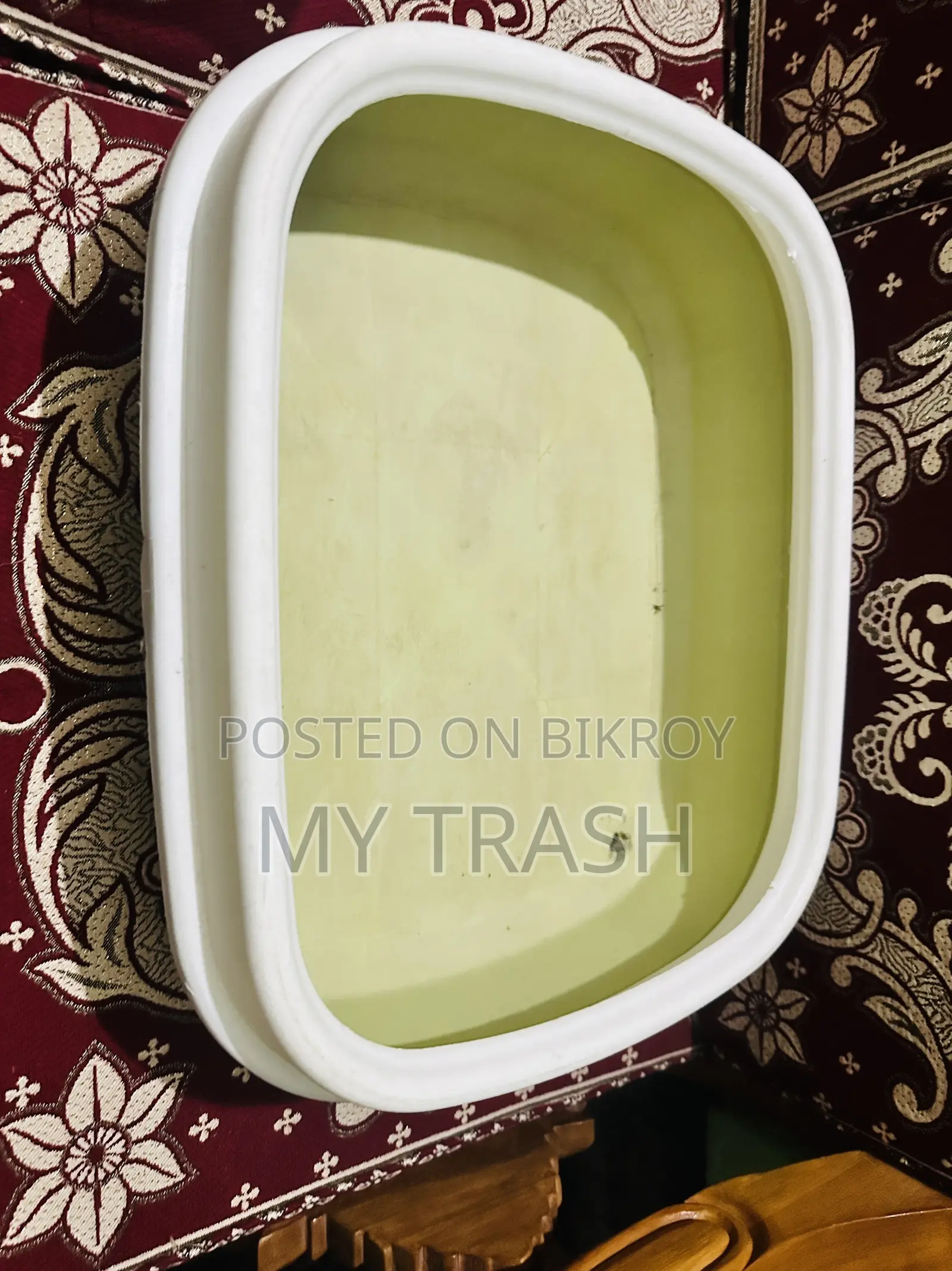 ক্যাট অ্যাক্সেসরিজ কম্বো