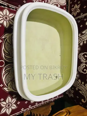 ক্যাট অ্যাক্সেসরিজ কম্বো