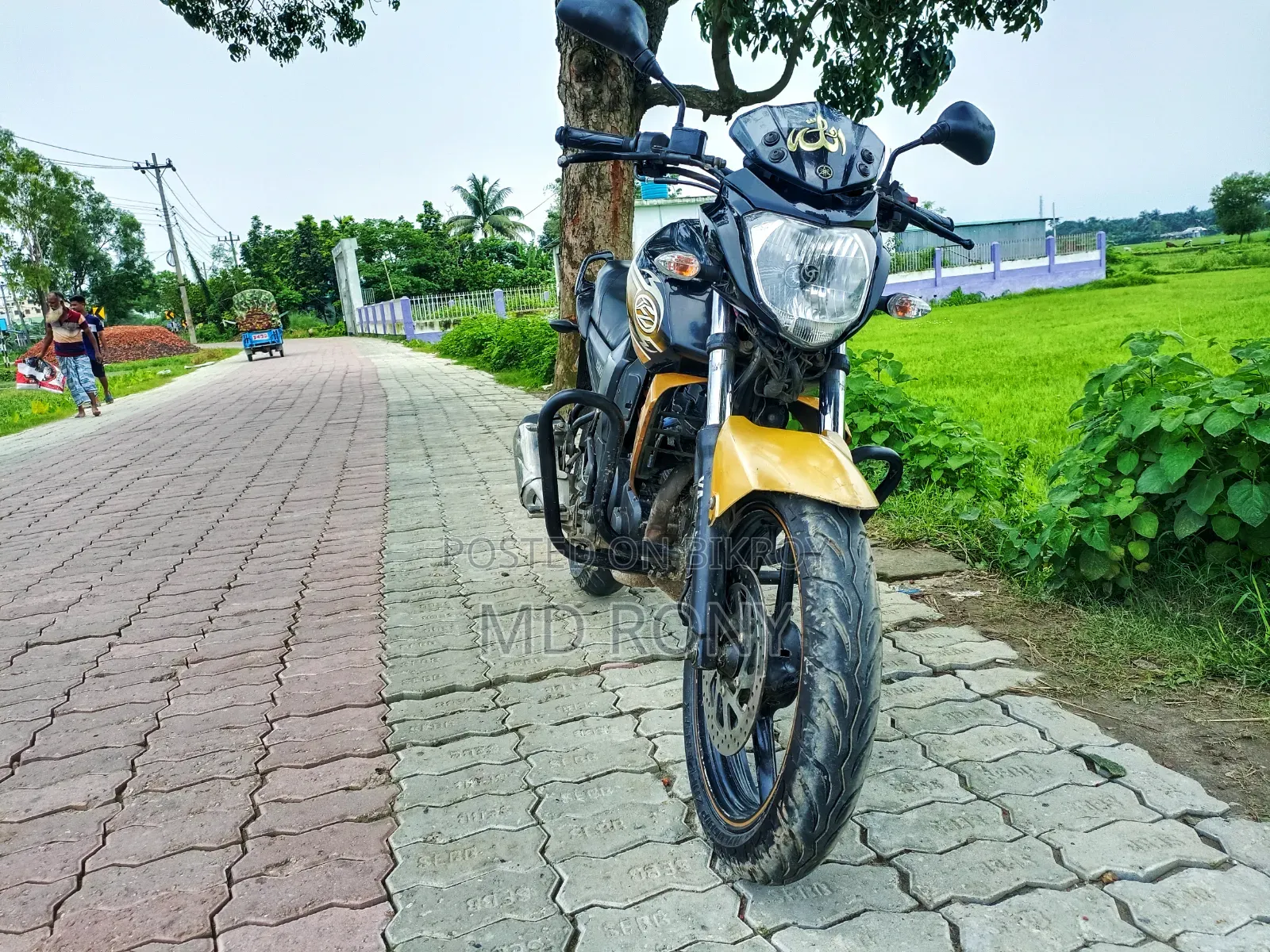 ইয়ামাহা এফজেড ২০১৩ ব্ল্যাক