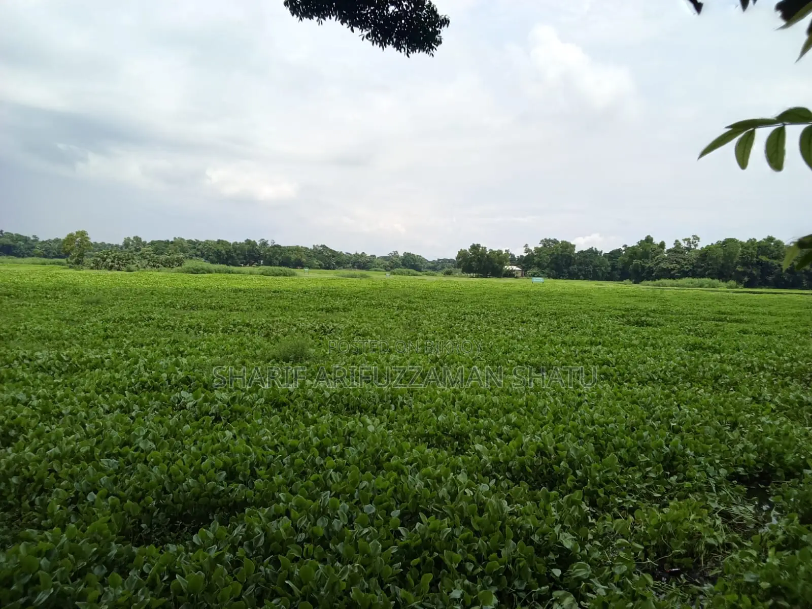 Plot for Sale