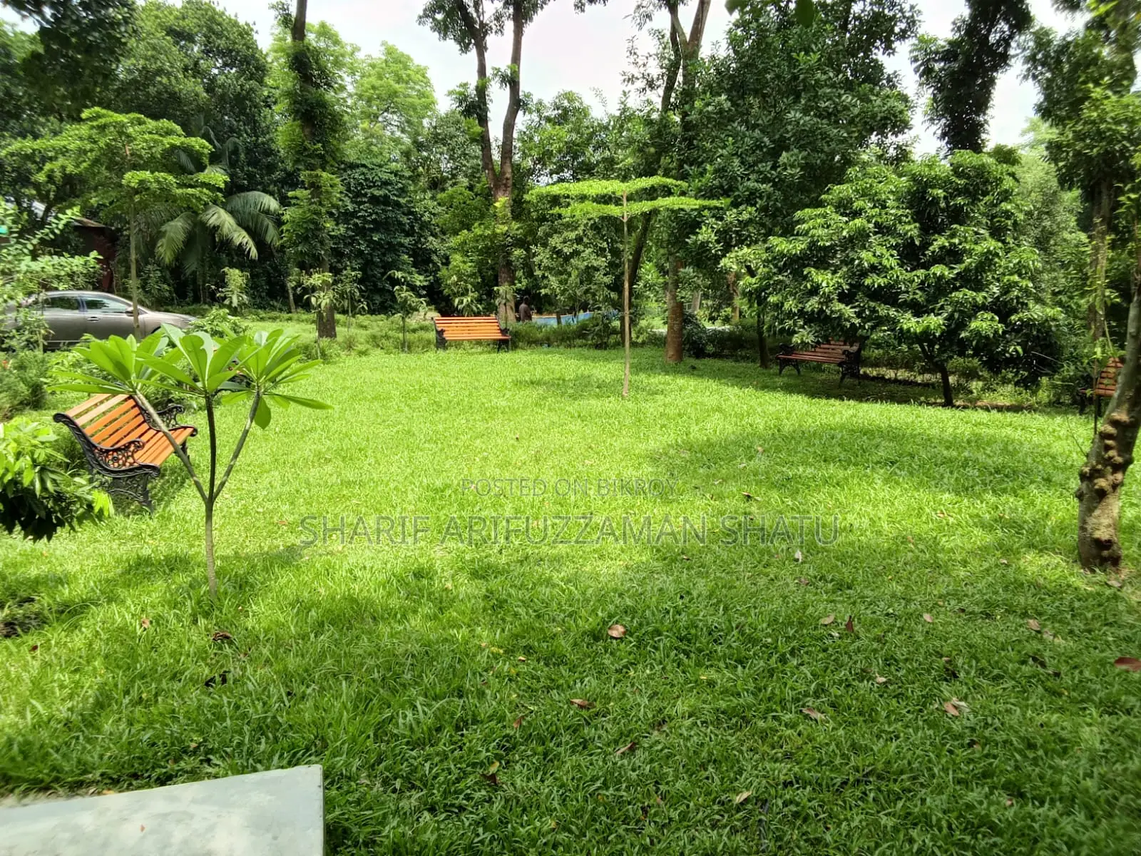 Plot for Sale