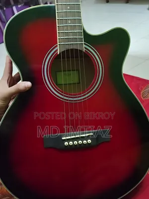 টিজিএম গিটার