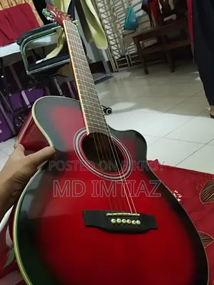 টিজিএম গিটার