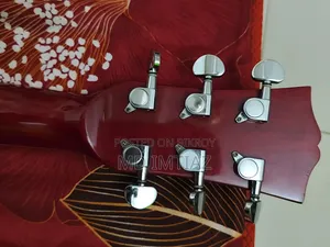 টিজিএম গিটার