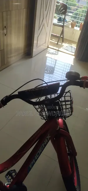 Phoenix Cycle With Free Bell and Stand 20% Off! Double Seat