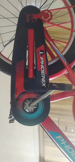 Phoenix Cycle With Free Bell and Stand 20% Off! Double Seat