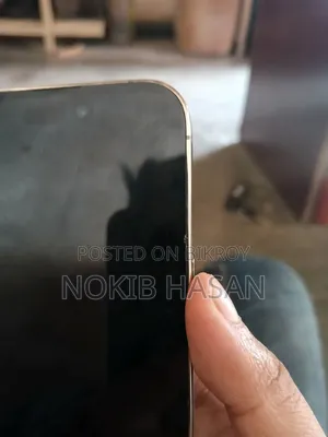 অ্যাপল আইফোন ১৪ প্রো ২৫৬ জিবি গোল্ড