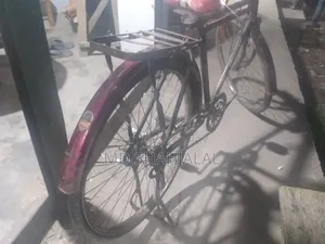 Bicycle Sell Full Ok
