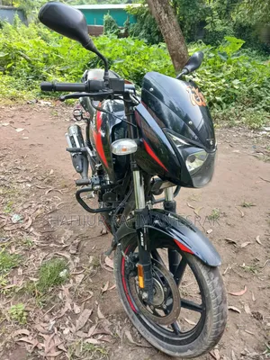 Bajaj Pulsar 150 2022 Black