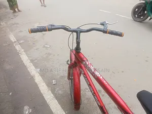 Duranta Bicycle