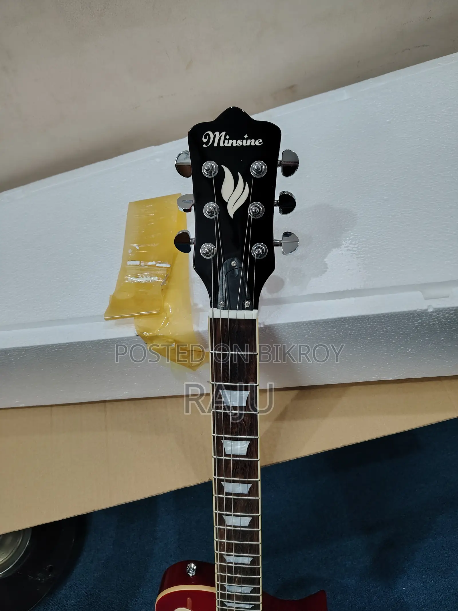 Electric Guitar