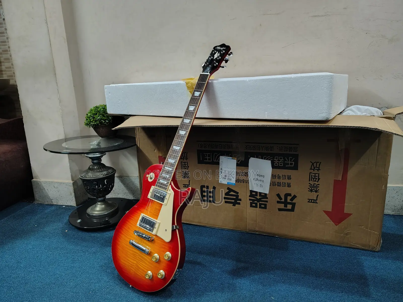 Electric Guitar