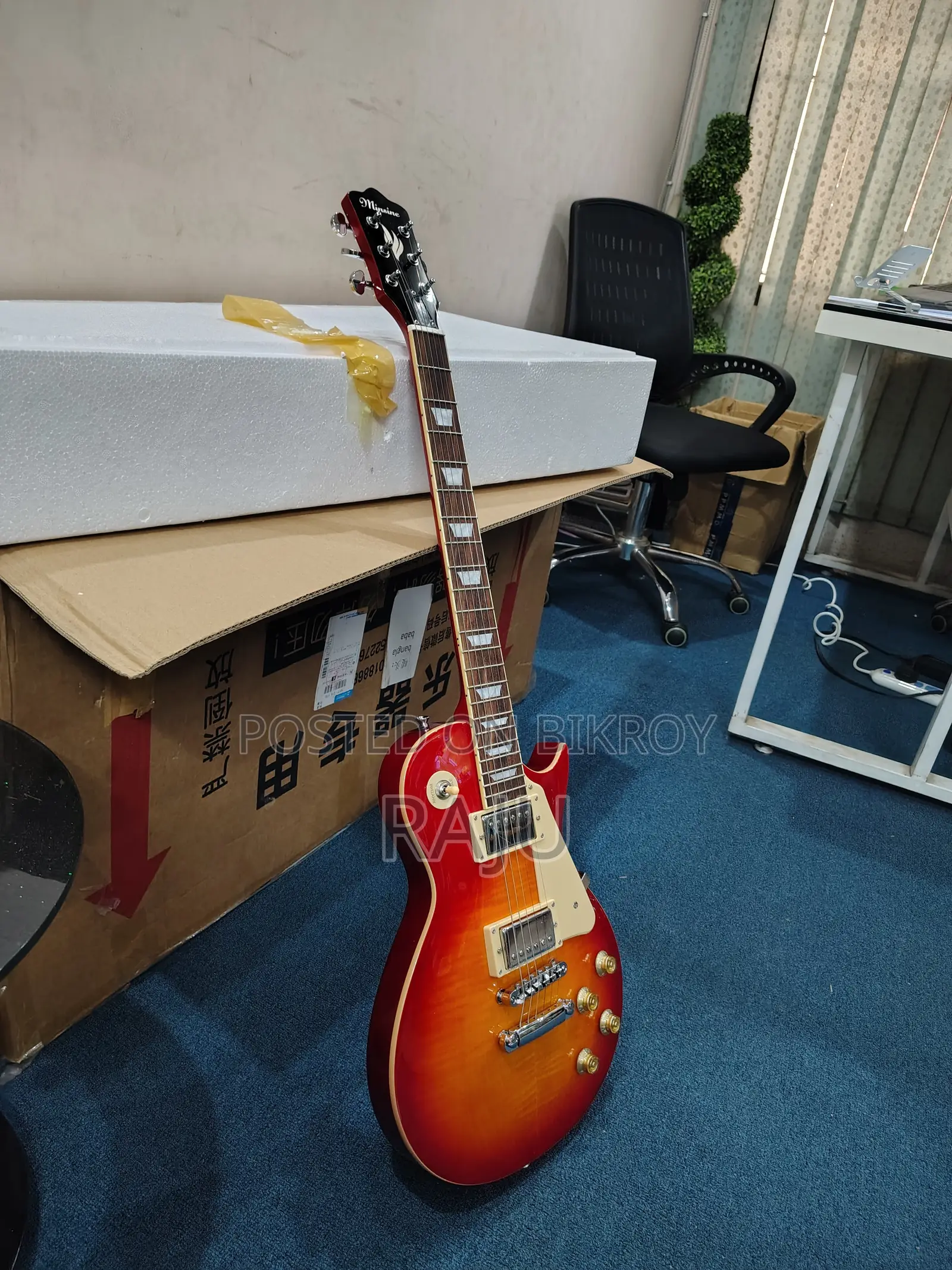 Electric Guitar