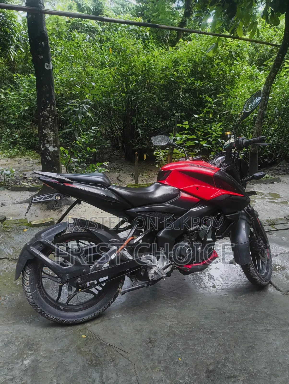 Bajaj Pulsar NS 160 2018 Red
