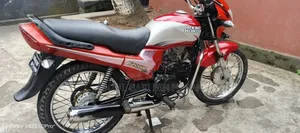 Hero Passion Pro 2010 Red