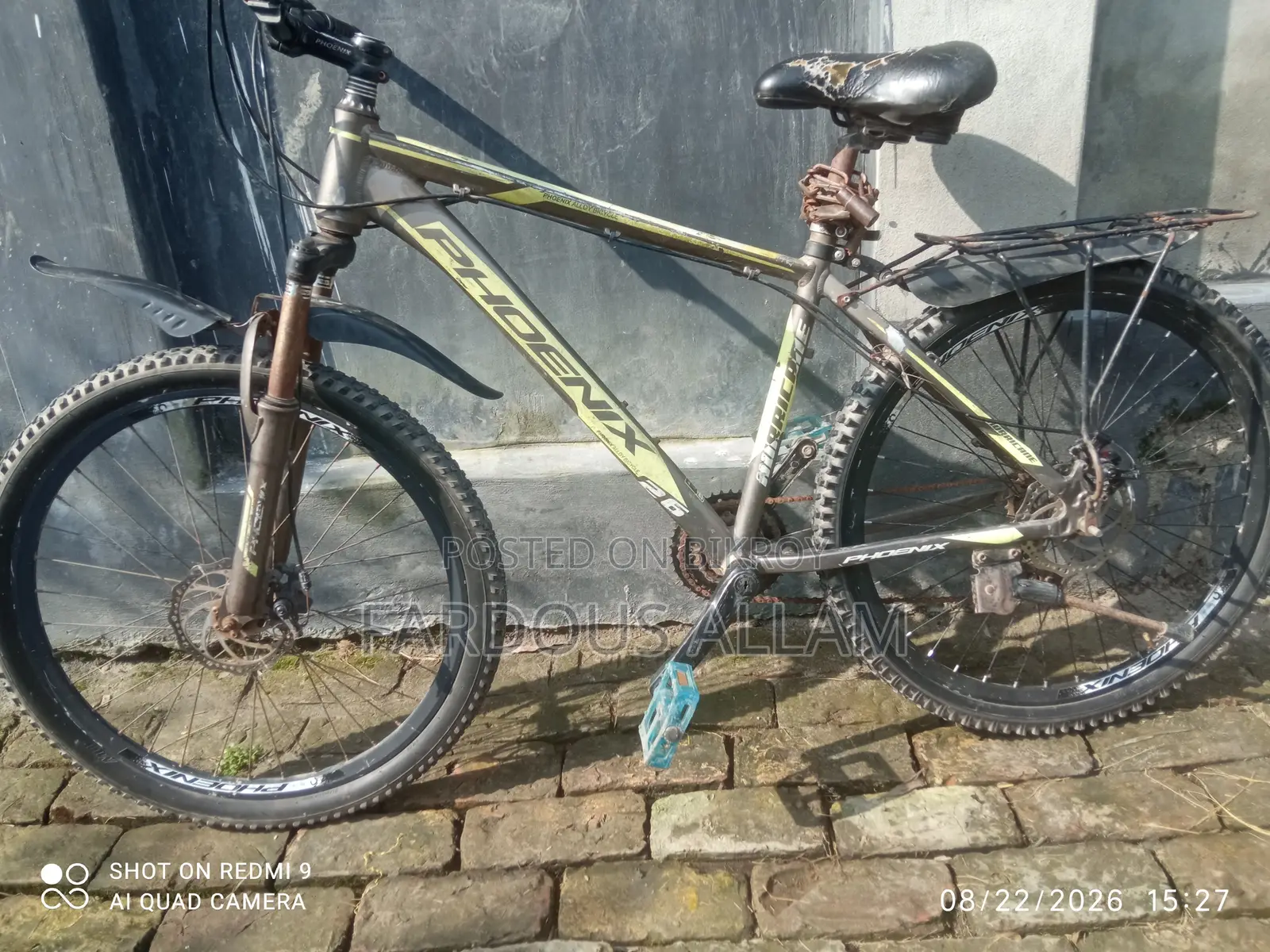 Phoenix Cycle