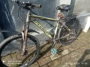 Phoenix Cycle