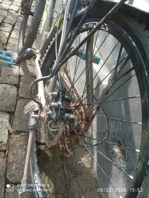 Phoenix Cycle