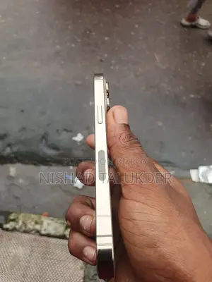অ্যাপল আইফোন ১৩ প্রো ২৫৬ জিবি গোল্ড
