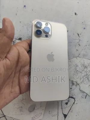 অ্যাপল আইফোন ১৩ প্রো ম্যাক্স ২৫৬ জিবি রোজ গোল্ড