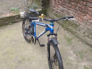 Jumbo Bicycle