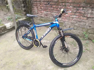 Jumbo Bicycle