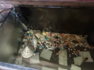 অ্যাকোয়ারিয়াম মাছ বিক্রি
